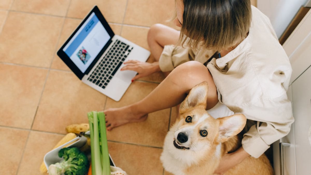 Woman sits with corgi and laptop, surrounded by groceries, browsing online at home.